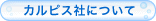 �J���s�X�Ђɂ���