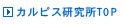 �J���s�X������TOP